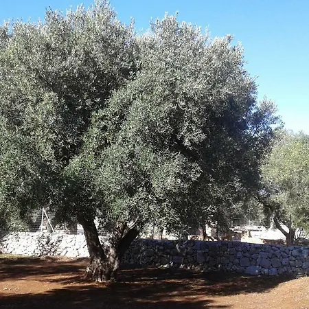 Dolcevita בית כפרי